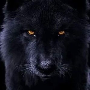 Meet your Posher, Bryant